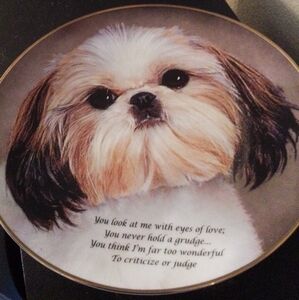 Shih Tzu collector plate "eyes of love"
